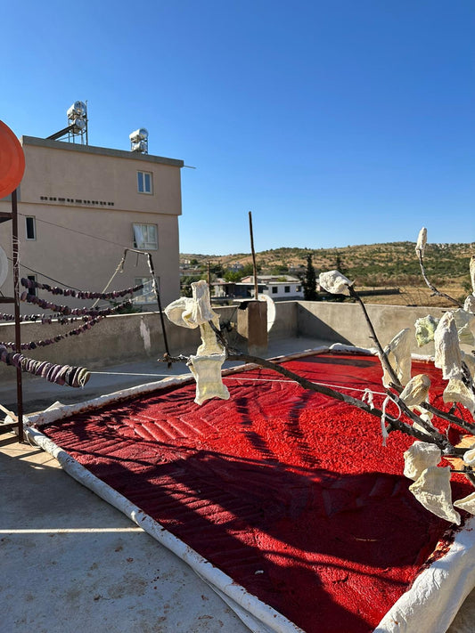 Antep Tatlı Biber Salçası 1KG (Yeni Mahsül)