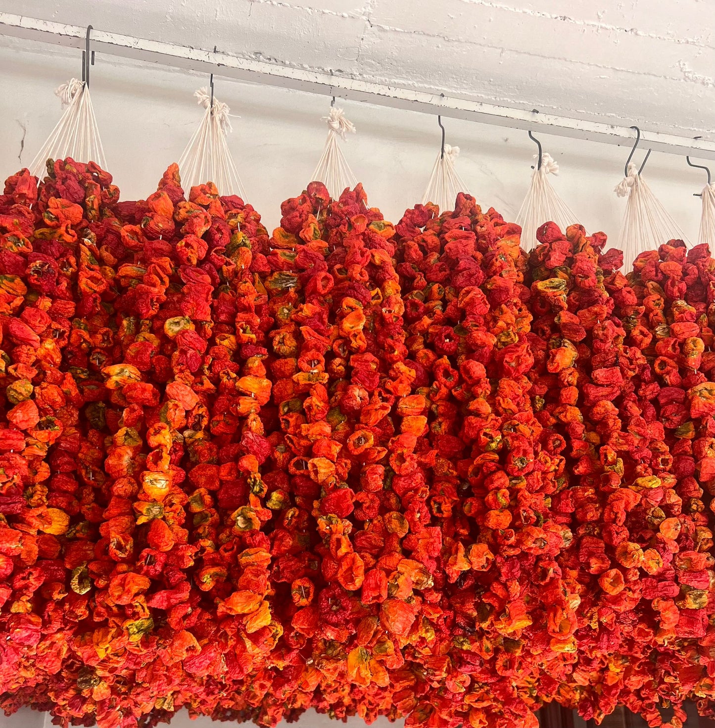 Antep Dolmalık ACI Biber (45-50 adet)