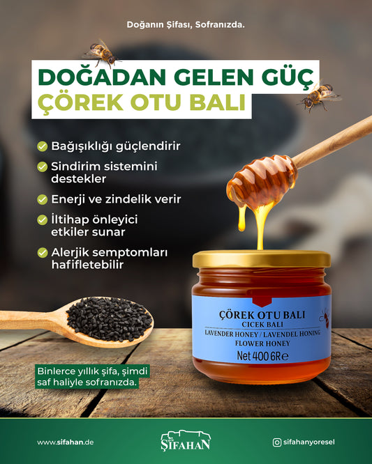 Toros Dağı Çörek Otu Balı 400gr