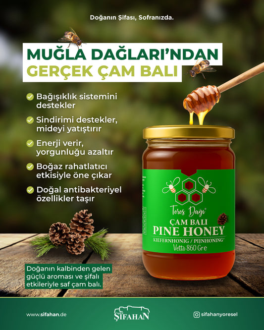 Toros Cam Balı 860gr