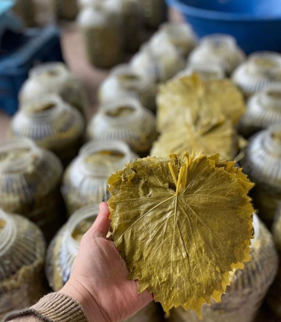 Manisa Salamura Uç Yaprak 5 KG Bidon (2,5-3Kg) Yeni Mahsül (2026)