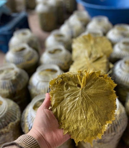 Manisa Salamura Uç Yaprak 5 KG Bidon (2,5-3Kg) Yeni Mahsül (2026)