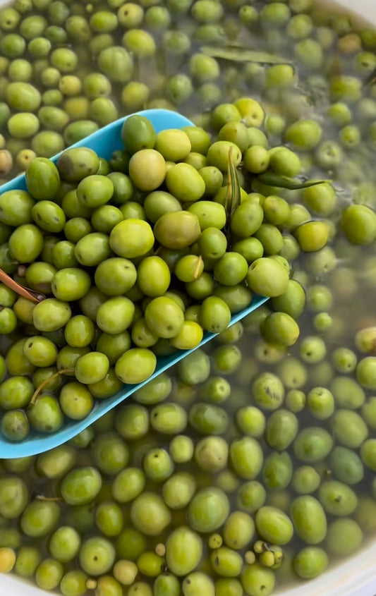 Hatay Halhalı Zeytin (1000-1300g)Minik Boy