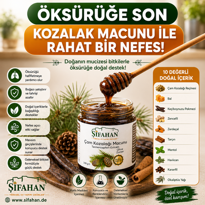 Kozalak Macunu 240g