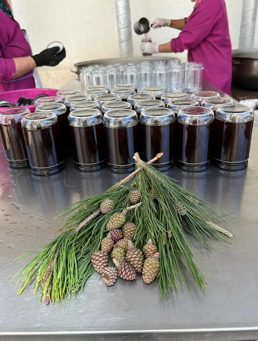 Kozalak Şurubu 750g