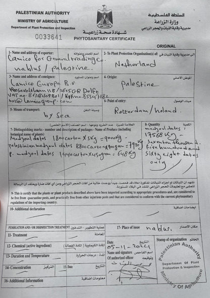 Filistin Medjoul Hurma
Jumbo Large | Iri Boy 1. Kalite | 900 g-5
Kg