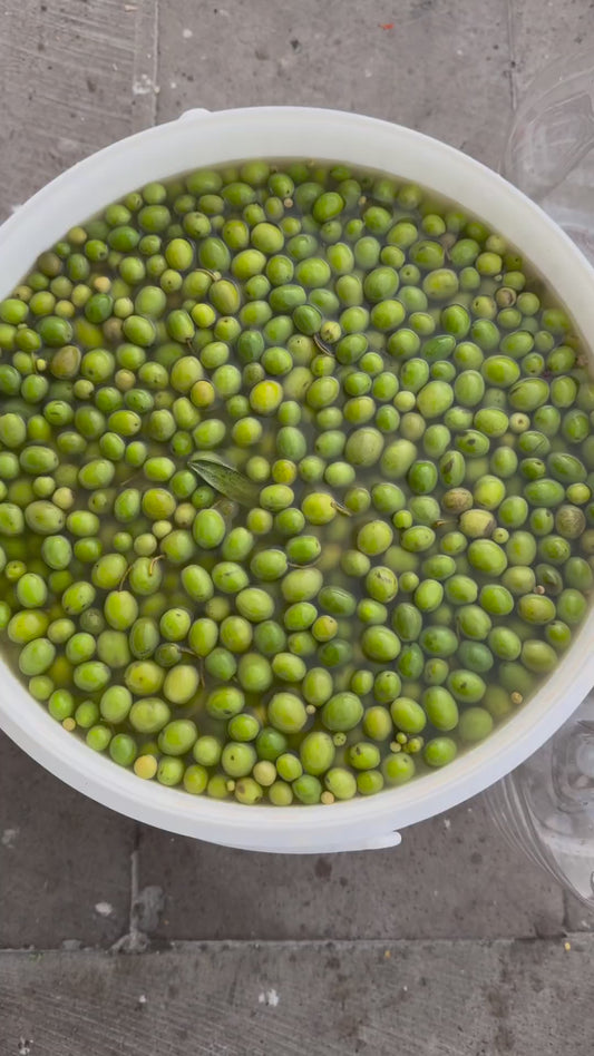 Hatay Halhalı Zeytin (1000-1300g)Minik Boy