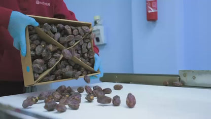 Medjoul-Datteln, Palästina
 Jumbo Groß | Großformat 1. Wahl | 5
 kg