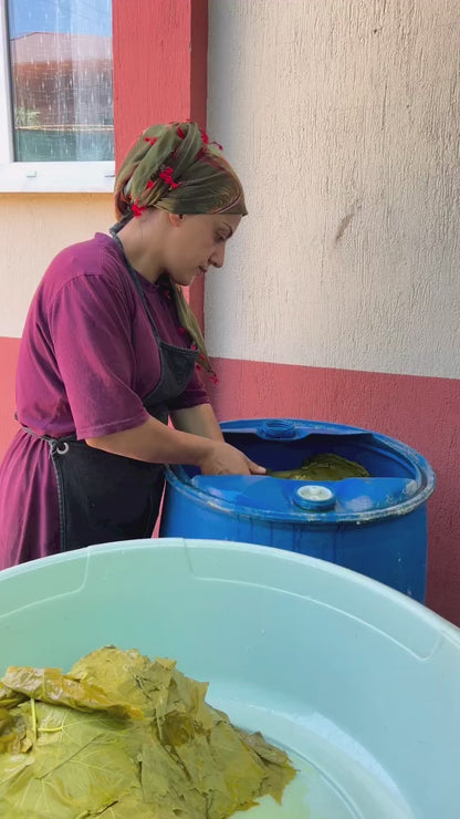 Manisa Salamura Uç Yaprak 5 KG Bidon (2,5-3Kg) Yeni Mahsül (2026)