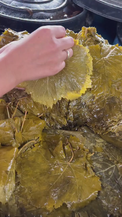 Manisa Salamura Uç Yaprak 3 KG Bidon (1,600g-2Kg)  (Yeni Mahsül)