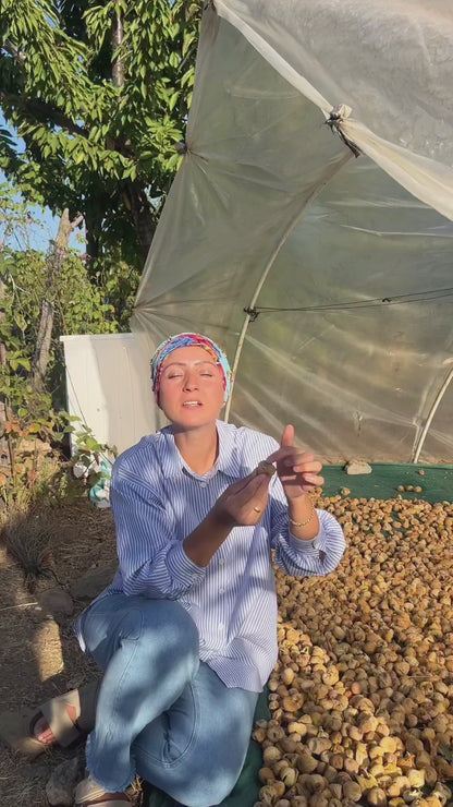 Aydın Dağ İciri 2,5 KG (Yeni Mahsül 2025) Dizme